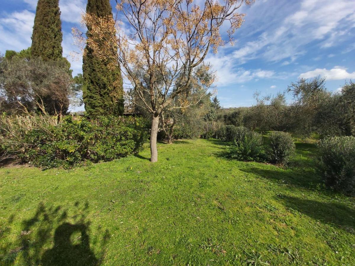Tenuta Santa Maria Villa Campagnatico Exterior foto