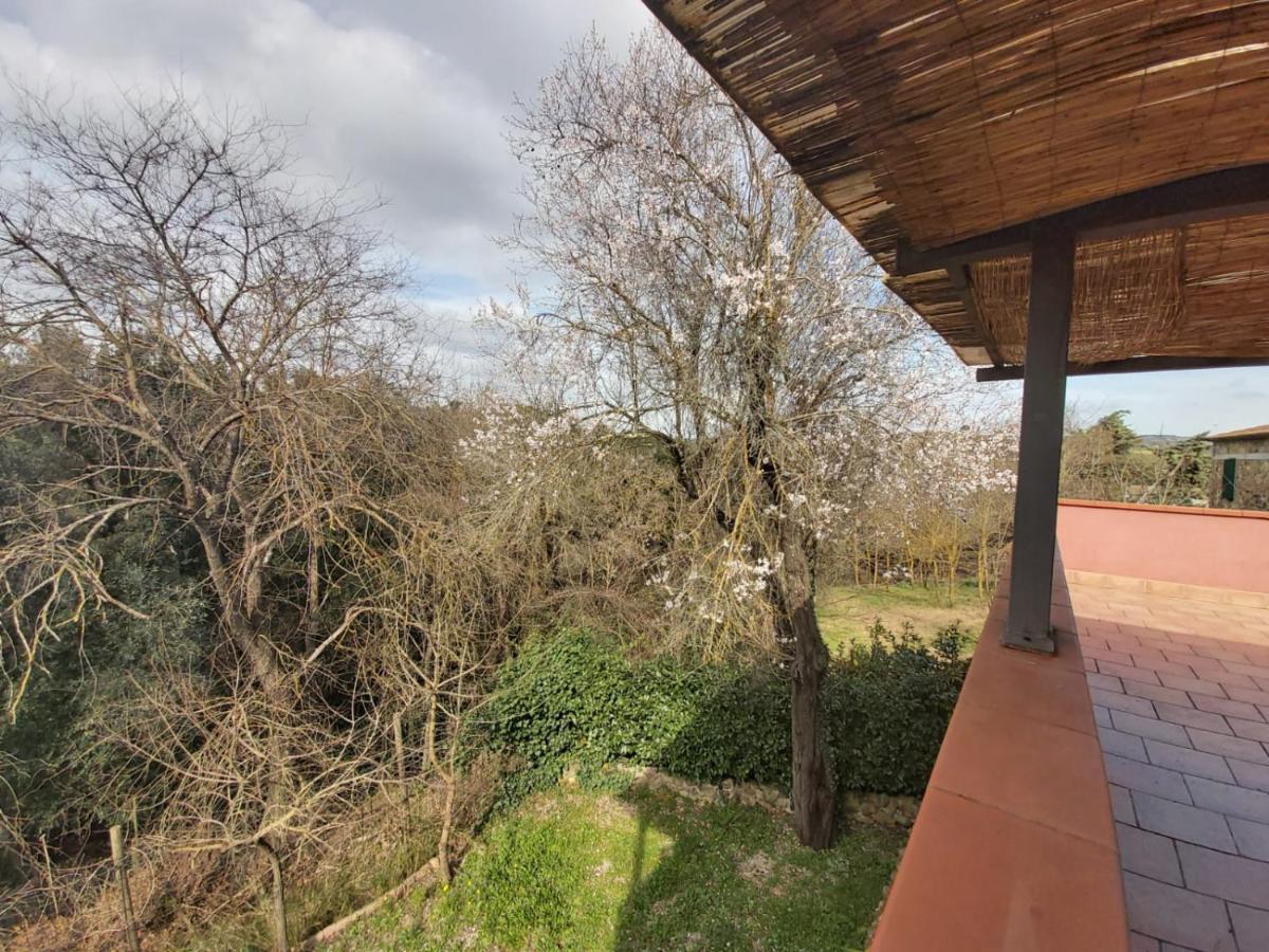 Tenuta Santa Maria Villa Campagnatico Exterior foto