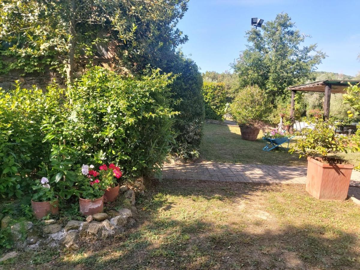Tenuta Santa Maria Villa Campagnatico Exterior foto